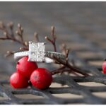A Williamsburg Proposal | Williamsburg, Virginia
