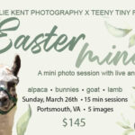 2023 Easter Mini Sessions